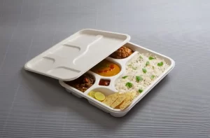 A restaurant-style takeaway meal served in compostable eco friendly food packaging with reusable cutlery and green décor in the background.